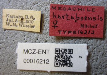 Media type: image;   Entomology 16212 Aspect: labels